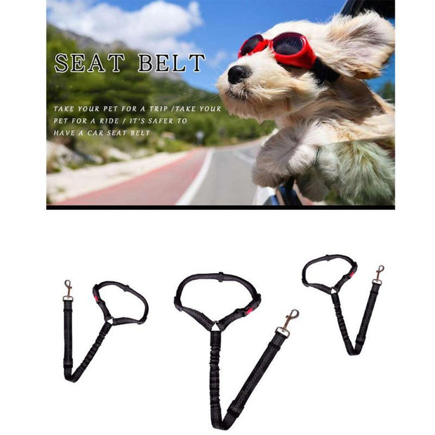 Safety Rope Elastic Traction Rope Dog Chain